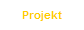 Projekt